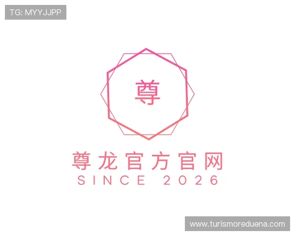 了解尊龙官方官网